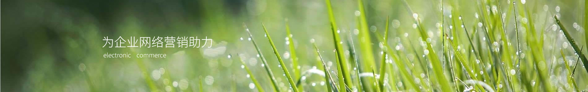 ˸ܿƼ޹˾